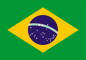 Brasile bandiera flag